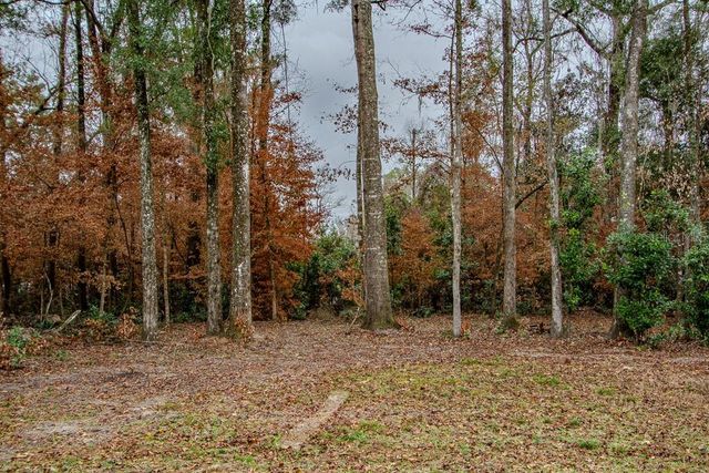 448 SW CENTRAL TERRACE, Fort White, FL 32038