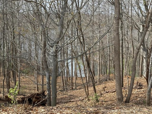 LOT 13 MINNOW LN, Goodview, VA 24095
