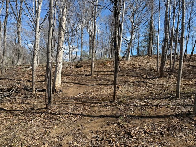 LOT 13 MINNOW LN, Goodview, VA 24095