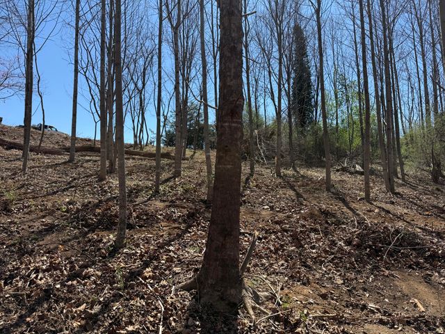 LOT 13 MINNOW LN, Goodview, VA 24095