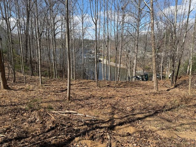 LOT 13 MINNOW LN, Goodview, VA 24095