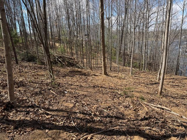 LOT 13 MINNOW LN, Goodview, VA 24095