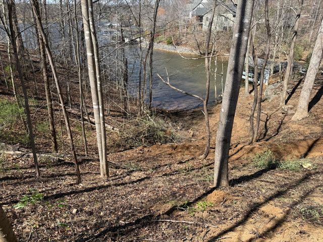LOT 13 MINNOW LN, Goodview, VA 24095