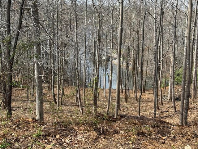 LOT 13 MINNOW LN, Goodview, VA 24095