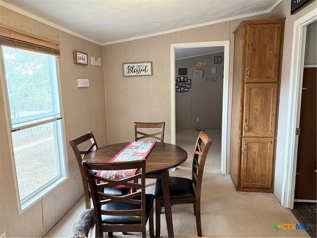 107 Dallas Street, Goliad, TX 77963