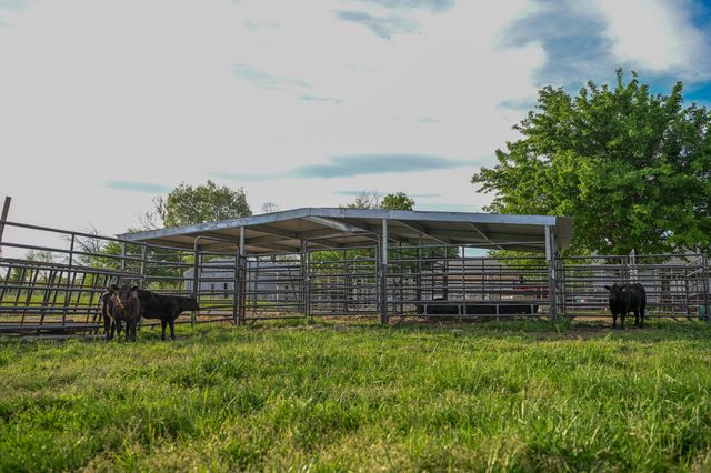 22405 Venzke Road, Cottonwood, CA 96022