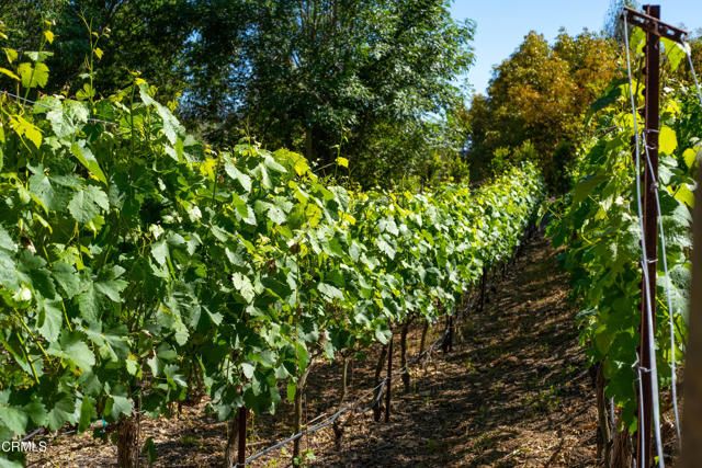 5856 La Cumbre Road, Somis, CA 93066