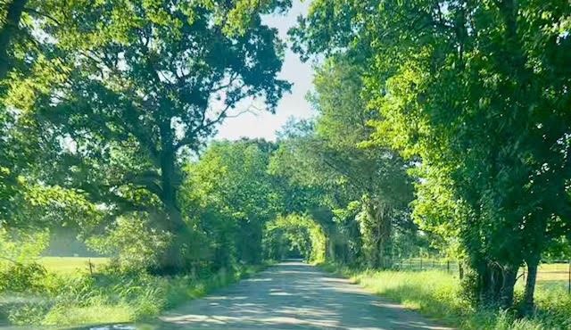 1630 County Road 2320, Terrell, TX 75160