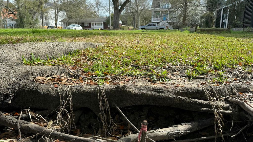 Image 6 of property listing at 1062 Glenshaw Street, North Charleston, SC 29405