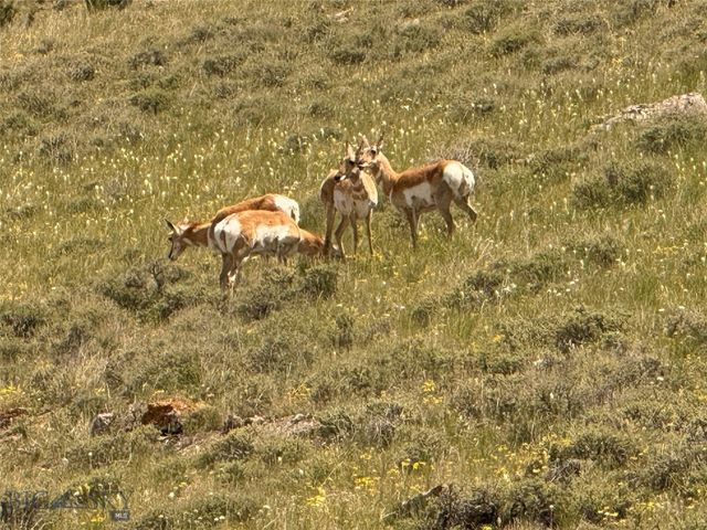 500 Prickly Pear, Manhattan, MT 59741