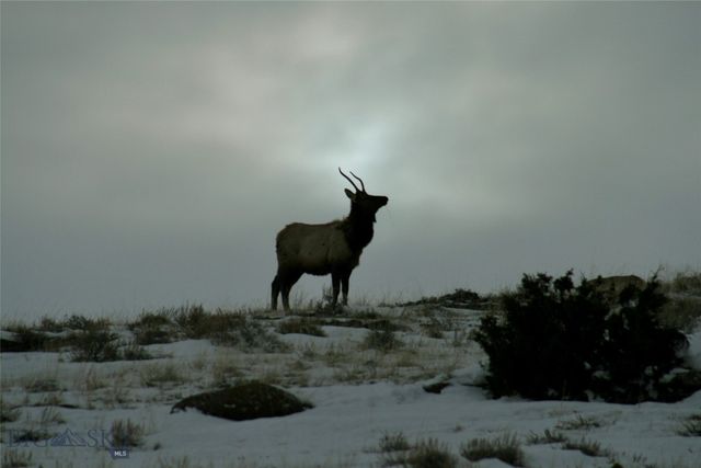 500 Prickly Pear, Manhattan, MT 59741