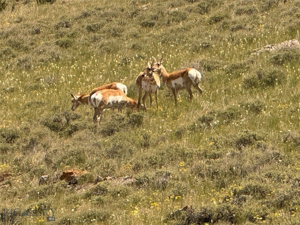 500 Prickly Pear, Manhattan, MT 59741 photo 40