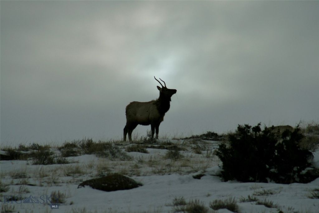500 Prickly Pear, Manhattan, MT 59741 photo 45