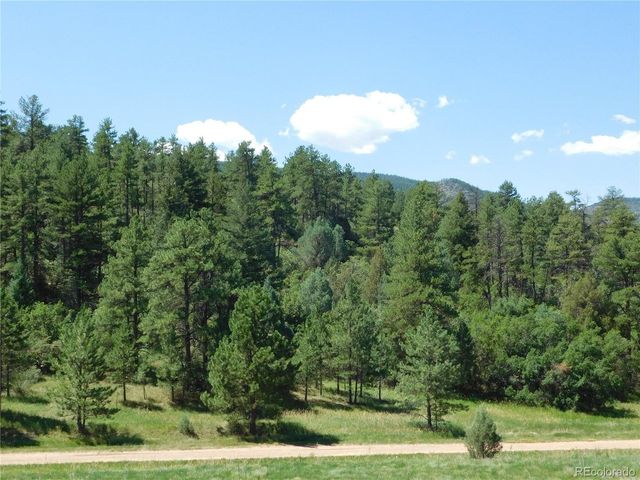 4668 Comanche Dr, Larkspur, CO 80118