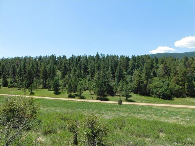 4668 Comanche Dr, Larkspur, CO 80118
