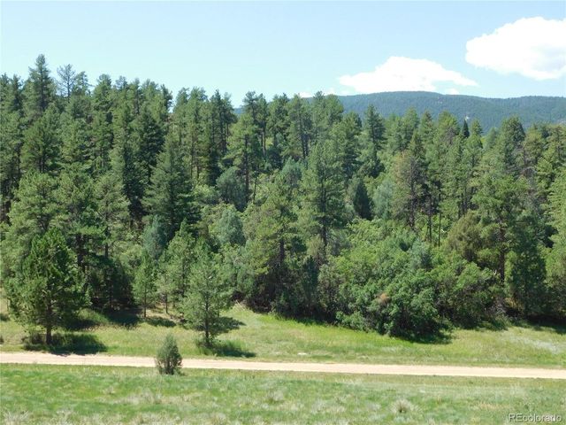 4668 Comanche Dr, Larkspur, CO 80118