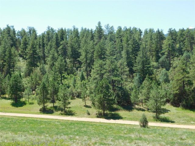 4668 Comanche Dr, Larkspur, CO 80118