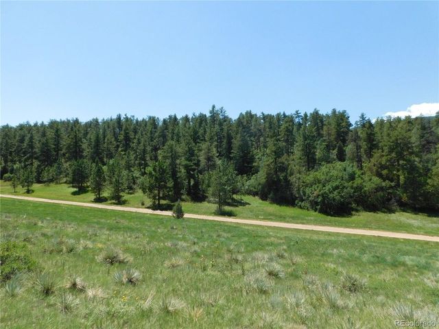 4668 Comanche Dr, Larkspur, CO 80118