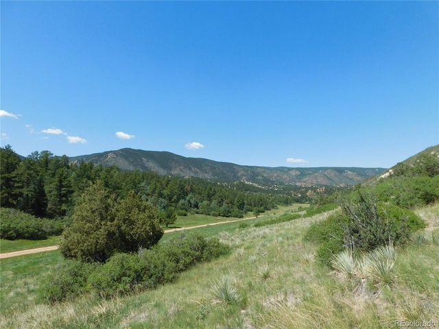 4668 Comanche Dr, Larkspur, CO 80118