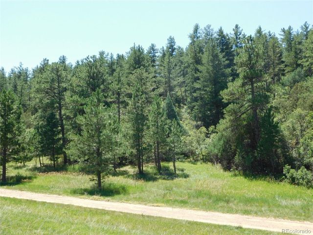 4668 Comanche Dr, Larkspur, CO 80118