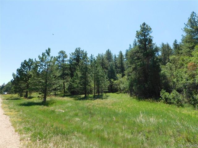 4668 Comanche Dr, Larkspur, CO 80118