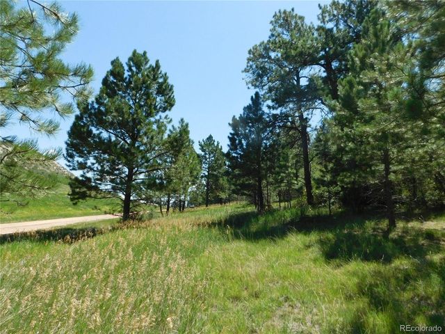 4668 Comanche Dr, Larkspur, CO 80118