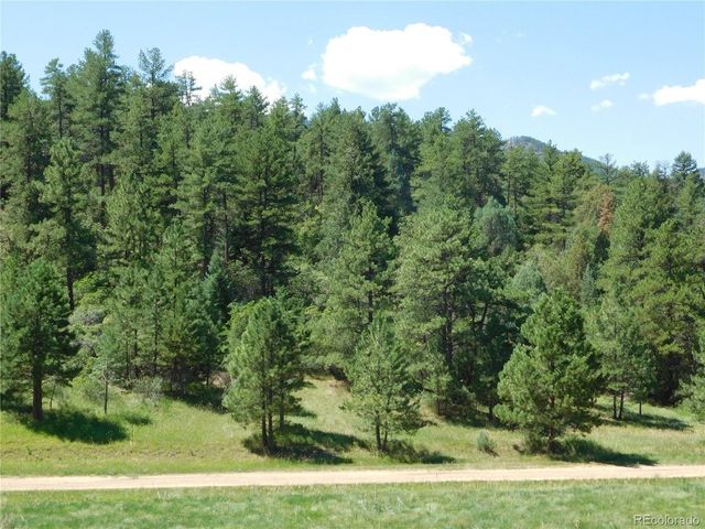 4668 Comanche Dr, Larkspur, CO 80118