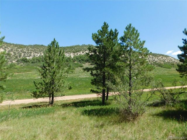 4668 Comanche Dr, Larkspur, CO 80118