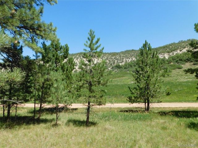4668 Comanche Dr, Larkspur, CO 80118