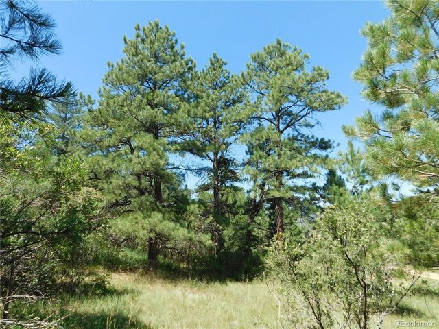 4668 Comanche Dr, Larkspur, CO 80118