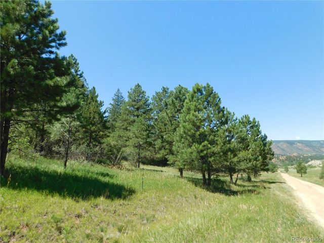 4668 Comanche Dr, Larkspur, CO 80118