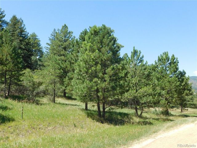 4668 Comanche Dr, Larkspur, CO 80118