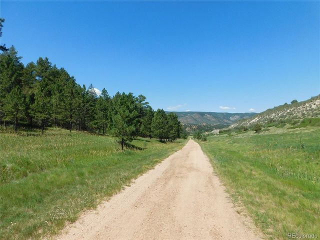 4668 Comanche Dr, Larkspur, CO 80118