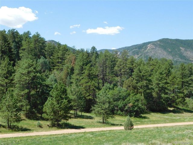 4668 Comanche Dr, Larkspur, CO 80118
