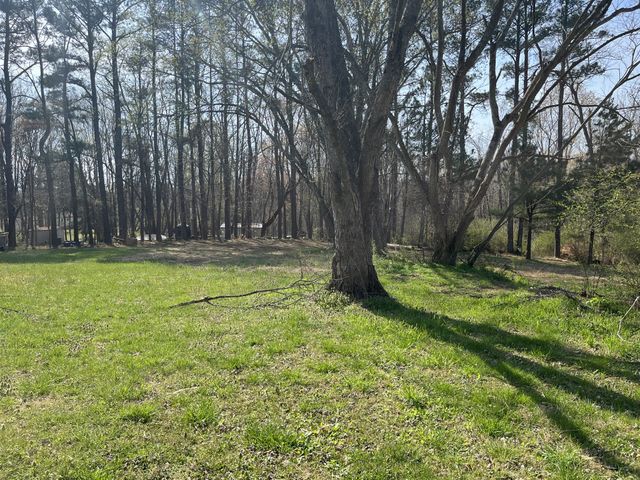 2610 Lee Dr, Pleasant View, TN 37146