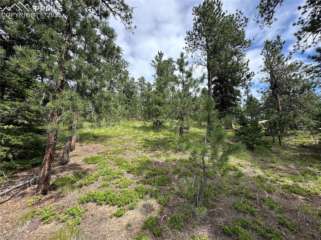 116 Happy Valley Road, Manitou Springs, CO 80829 — exterior