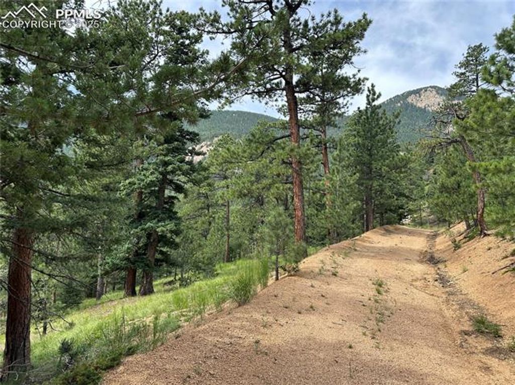 116 Happy Valley Road, Manitou Springs, CO 80829 — photo 2