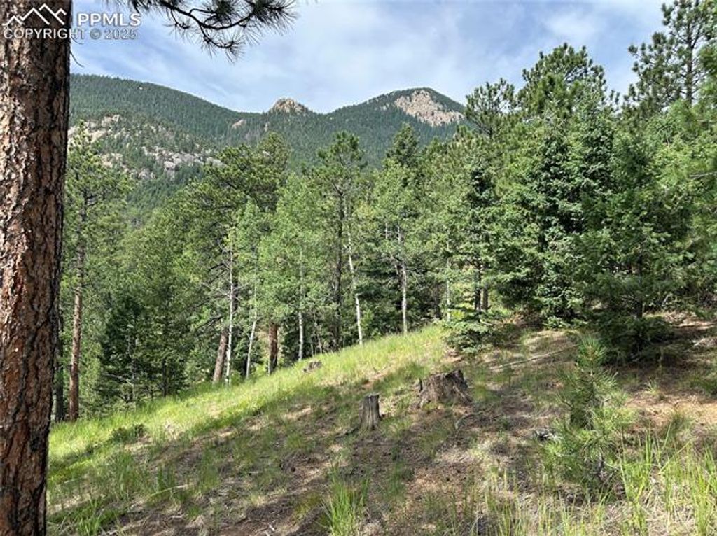 116 Happy Valley Road, Manitou Springs, CO 80829 — photo 3