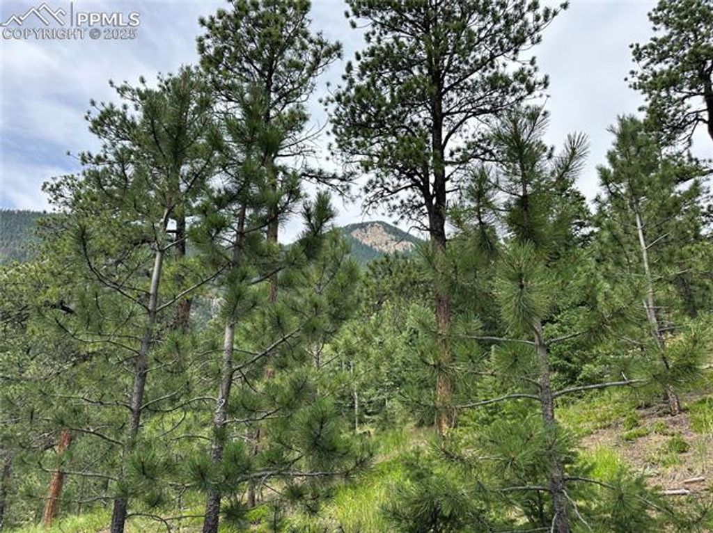 116 Happy Valley Road, Manitou Springs, CO 80829 — photo 5
