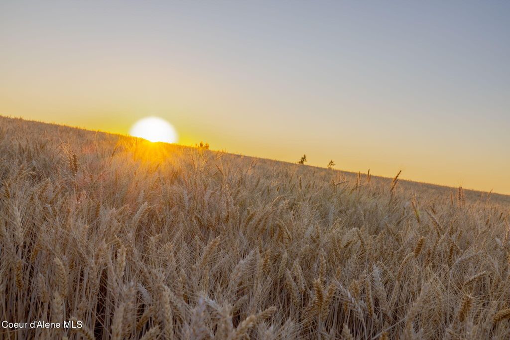 1199 Walker Rd, Viola, ID 83872 photo 63