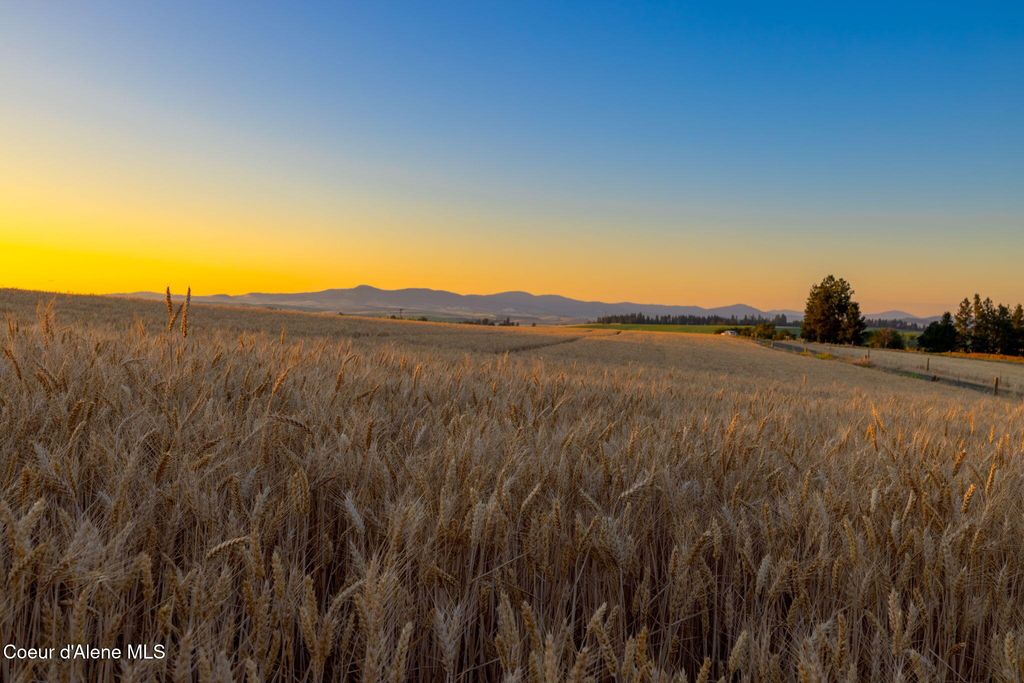 1199 Walker Rd, Viola, ID 83872 photo 64