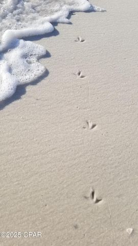 959 Camp Fire Circle, Panama City Beach, FL 32413