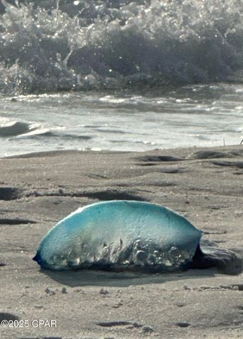 959 Camp Fire Circle, Panama City Beach, FL 32413