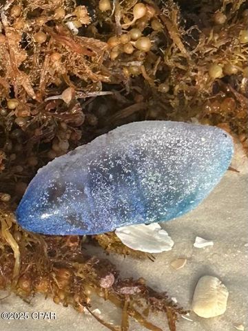 959 Camp Fire Circle, Panama City Beach, FL 32413