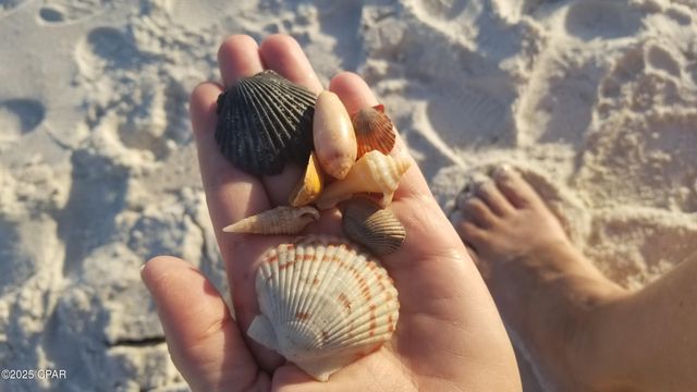 959 Camp Fire Circle, Panama City Beach, FL 32413