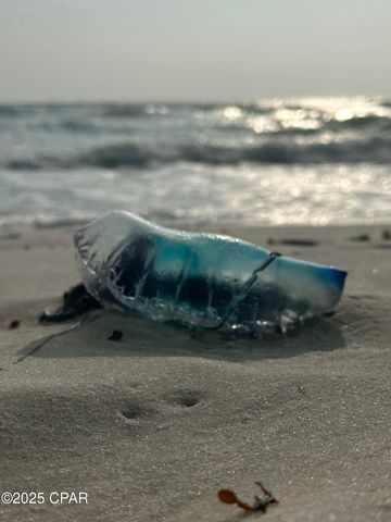 959 Camp Fire Circle, Panama City Beach, FL 32413