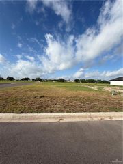 1529 Foxtail Street, Donna, TX 78537