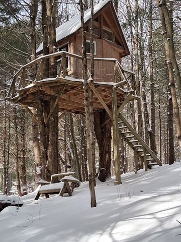 475 Pittsley Road, Morris, NY 13843