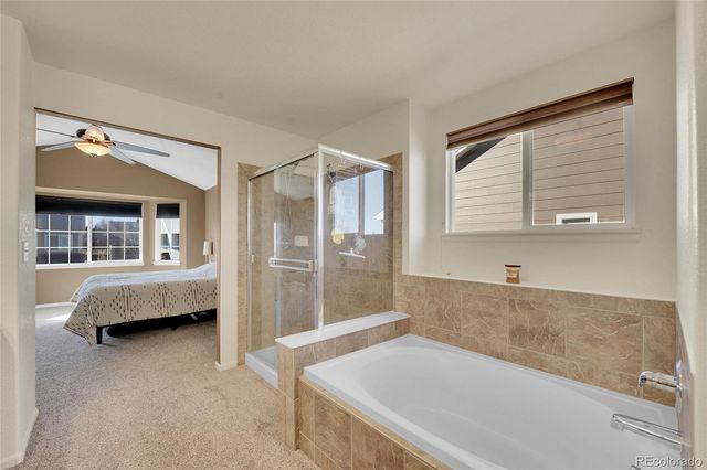 412 High Plains Street, Castle Rock, CO 80104