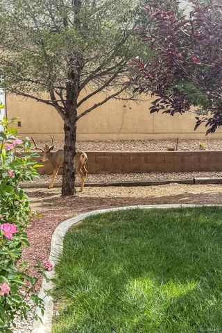 293 W Hahns Peak Avenue, Pueblo West, CO 81007